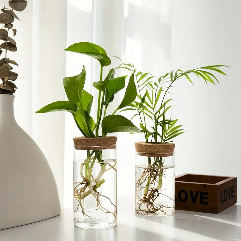 Modern Plant Propagation Station – Desktop Glass Planter