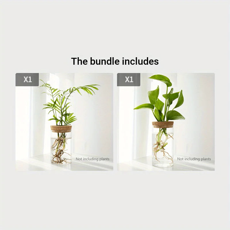 Modern Plant Propagation Station – Desktop Glass Planter