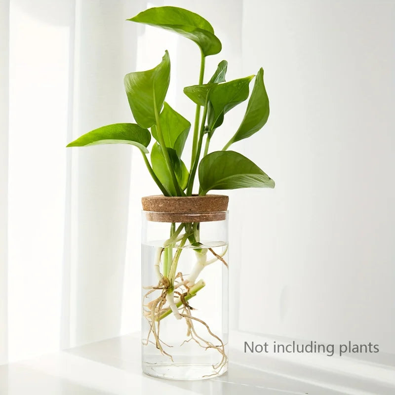 Modern Plant Propagation Station – Desktop Glass Planter