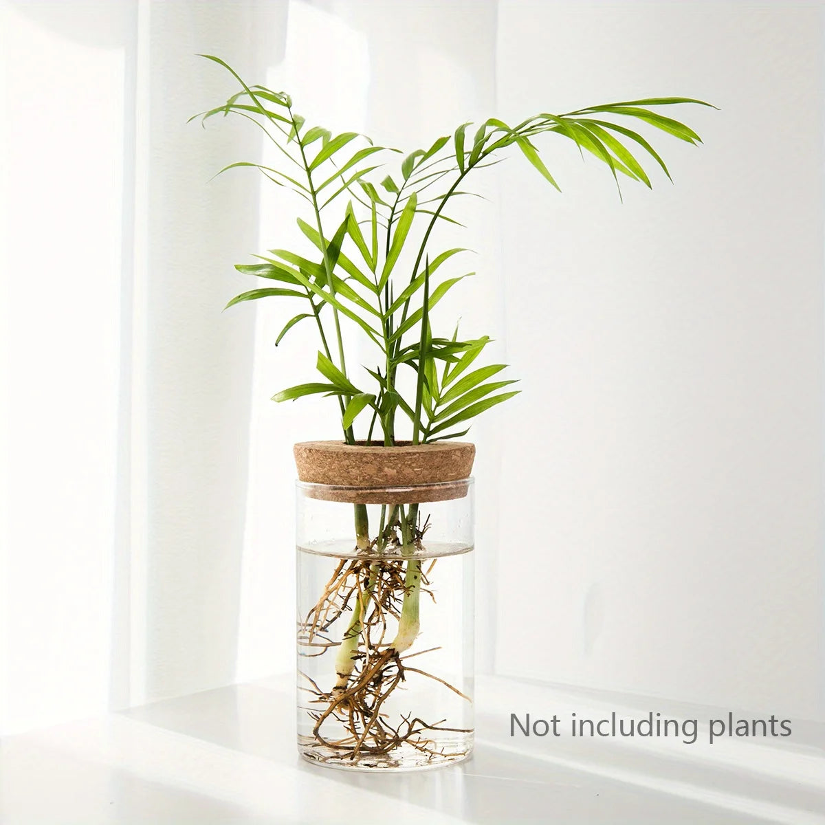 Modern Plant Propagation Station – Desktop Glass Planter