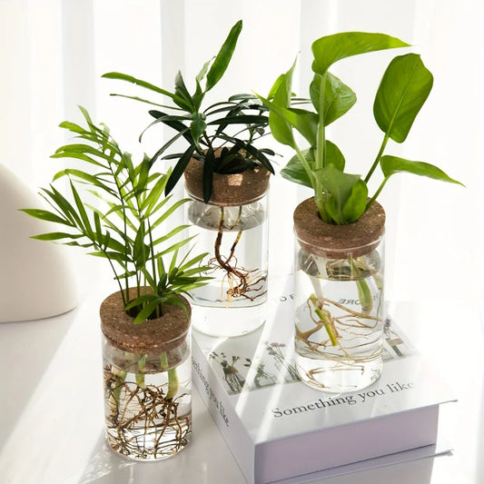 Modern Plant Propagation Station – Desktop Glass Planter